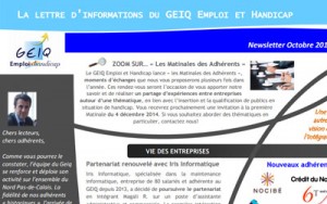 Newsletter Geiq 15