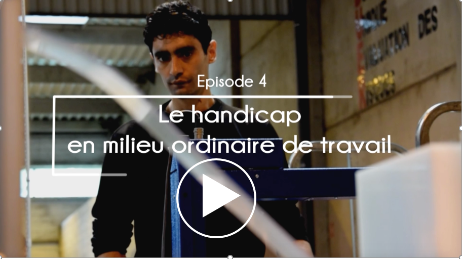 Episode 4 web serie Emploi et handicap