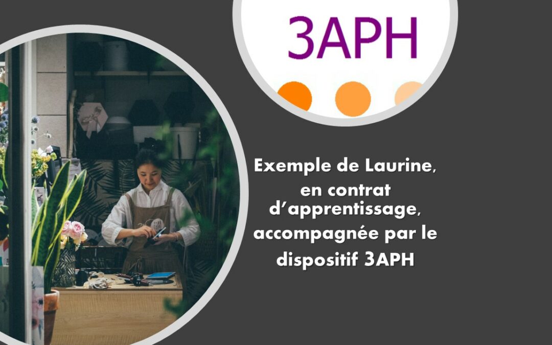 exemple réussi 3APH