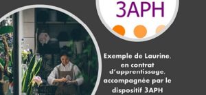exemple reussi 3APH