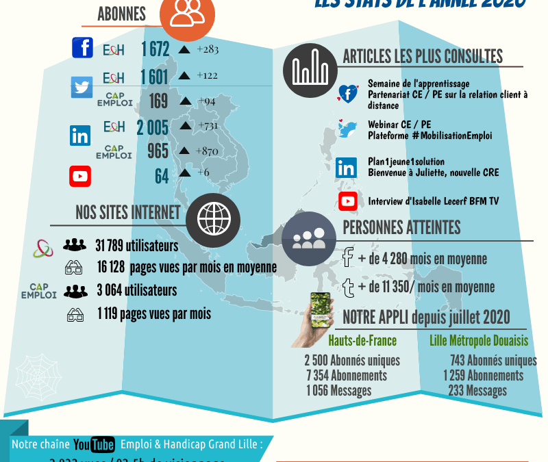 Stats RS année 2020