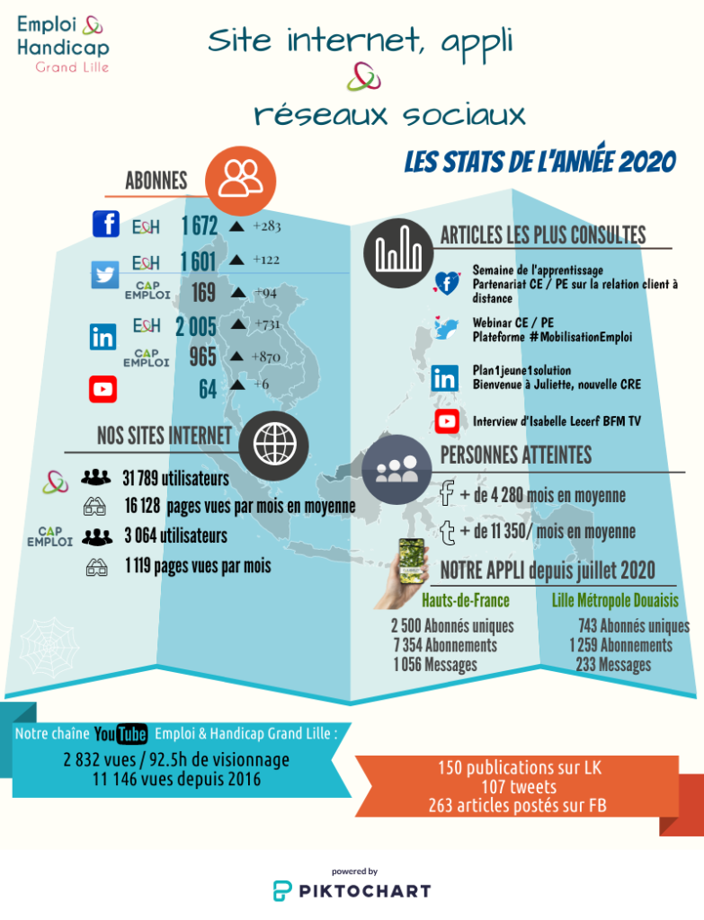 Stats RS année 2020