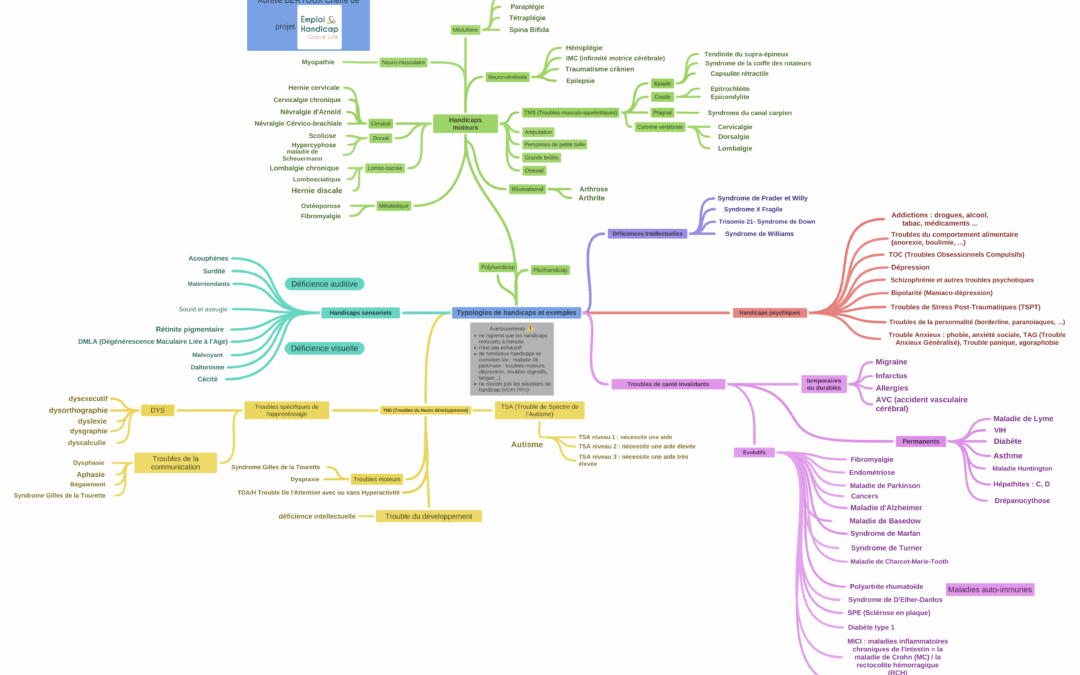 Typologies_de_handicaps_et_exemples-sept-22