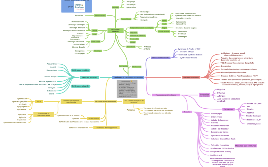 Typologies_de_handicaps_et_exemples-sept-22