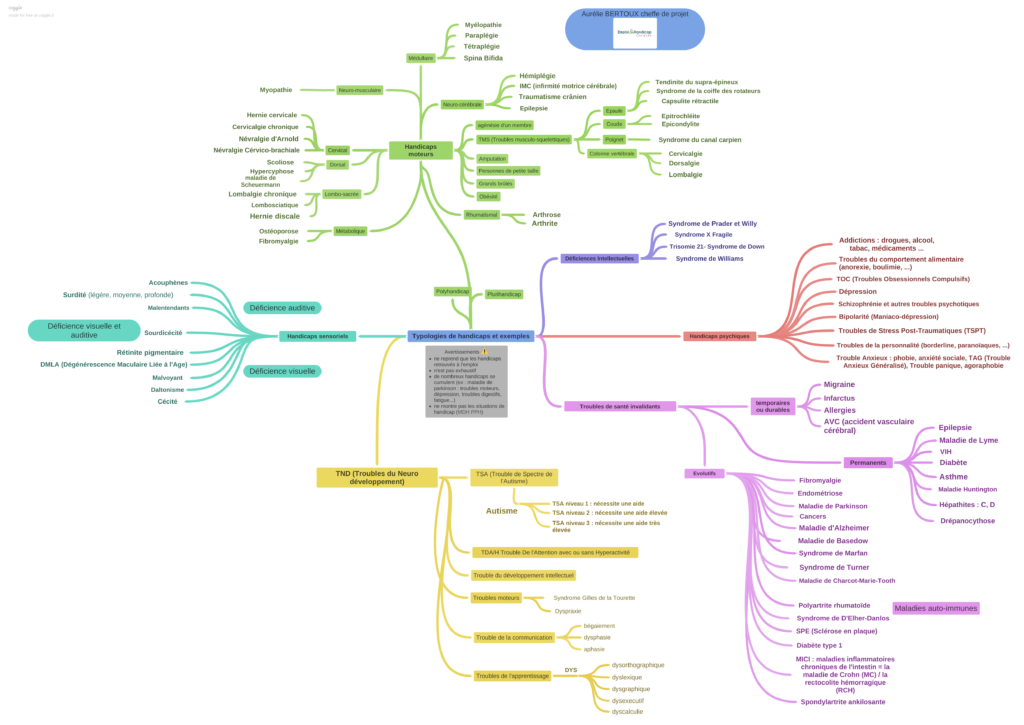 Typologies_de_handicaps_et_exemples-maj-11-2022