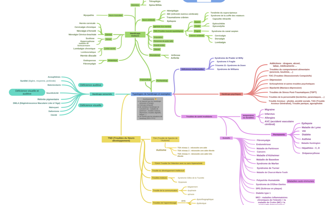 Typologies_de_handicaps_et_exemples-maj-11-2022